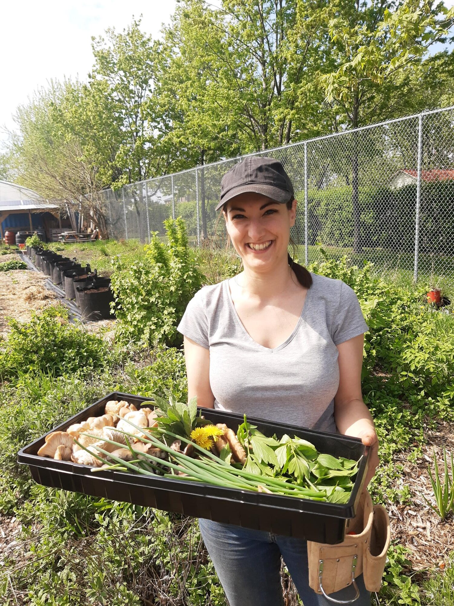 14 mai récoltes pour cuisine FPT